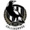 Collingwood Magpies