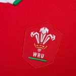 Men's Wales Rugby 2021 Home Polo Shirt Men's Wales Rugby 2021 Home Polo Shirt