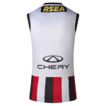 Men's St Kilda Saints 2026 Third Candy Stripe Guernsey