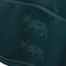 Women's Pau Section 2024/25 Home Shirt