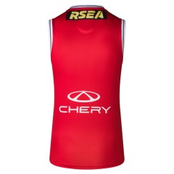 Women's St Kilda Saints 2025 Third Clash Guernsey Women's St Kilda Saints 2025 Third Clash Guernsey