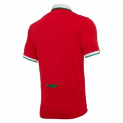 Men's Wales Rugby 2021 Home Polo Shirt