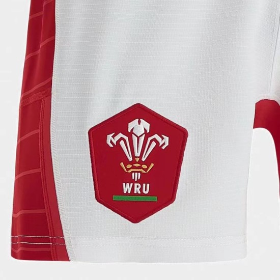 Men's Wales Rugby 2021 Shorts Men's Wales Rugby 2021 Shorts