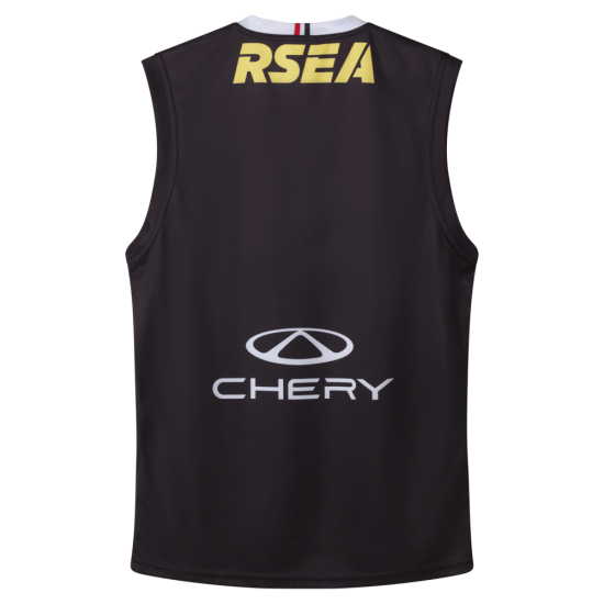 Men's St Kilda Saints 2026 Home Guernsey