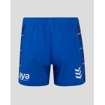 Men's Leinster 2024/25 Home Shorts