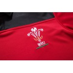 Men's Wales Rugby 2019 Polo Shirt