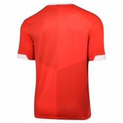Men's Wales Rugby Reveal 2019 RWC Shirt