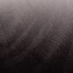 Women's Wests Tigers 2026 Away Shirt Women's Wests Tigers 2026 Away Shirt