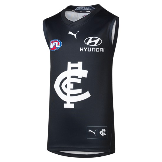 Men's Carlton Blues 2024 Home Guernsey Men's Carlton Blues 2024 Home Guernsey