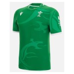 Men's Wales Rugby 2022 Away Shirt Men's Wales Rugby 2022 Away Shirt