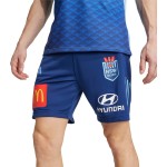 Men's NSW Blues 2025 Third Gym Shorts